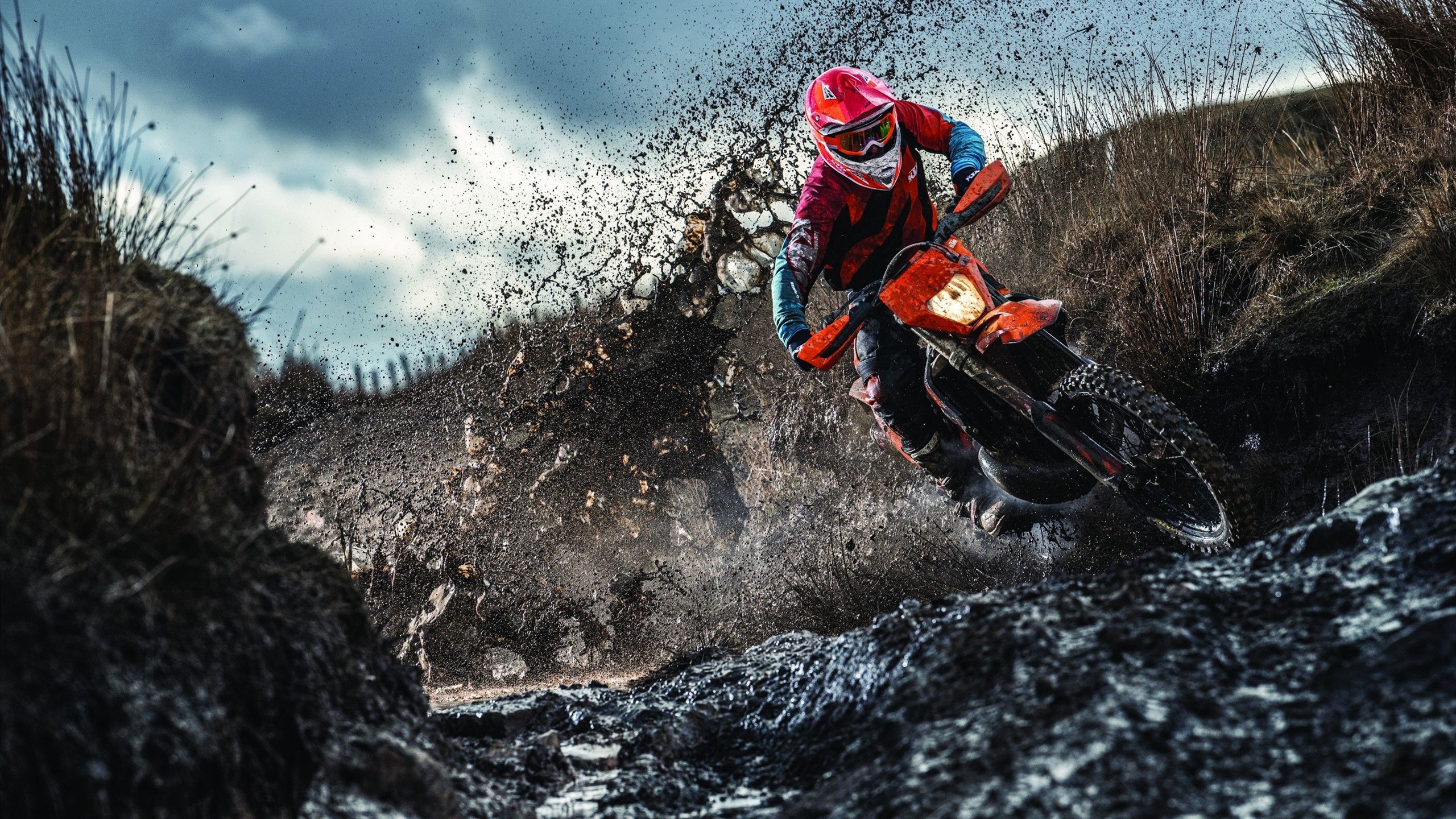 今年NBA季后赛最大黑马是哪个球队？，今年nba季后赛的球队